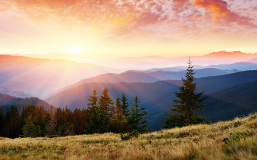 542808 (a): :2560x1600
